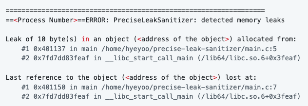 Precise Leak Sanitizer